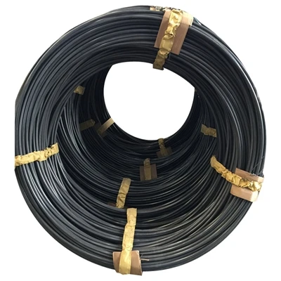 Composizione chimica e altre proprietà di 10B21