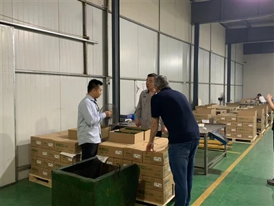 I clienti abituali brasiliani vengono a visitare la nostra azienda
